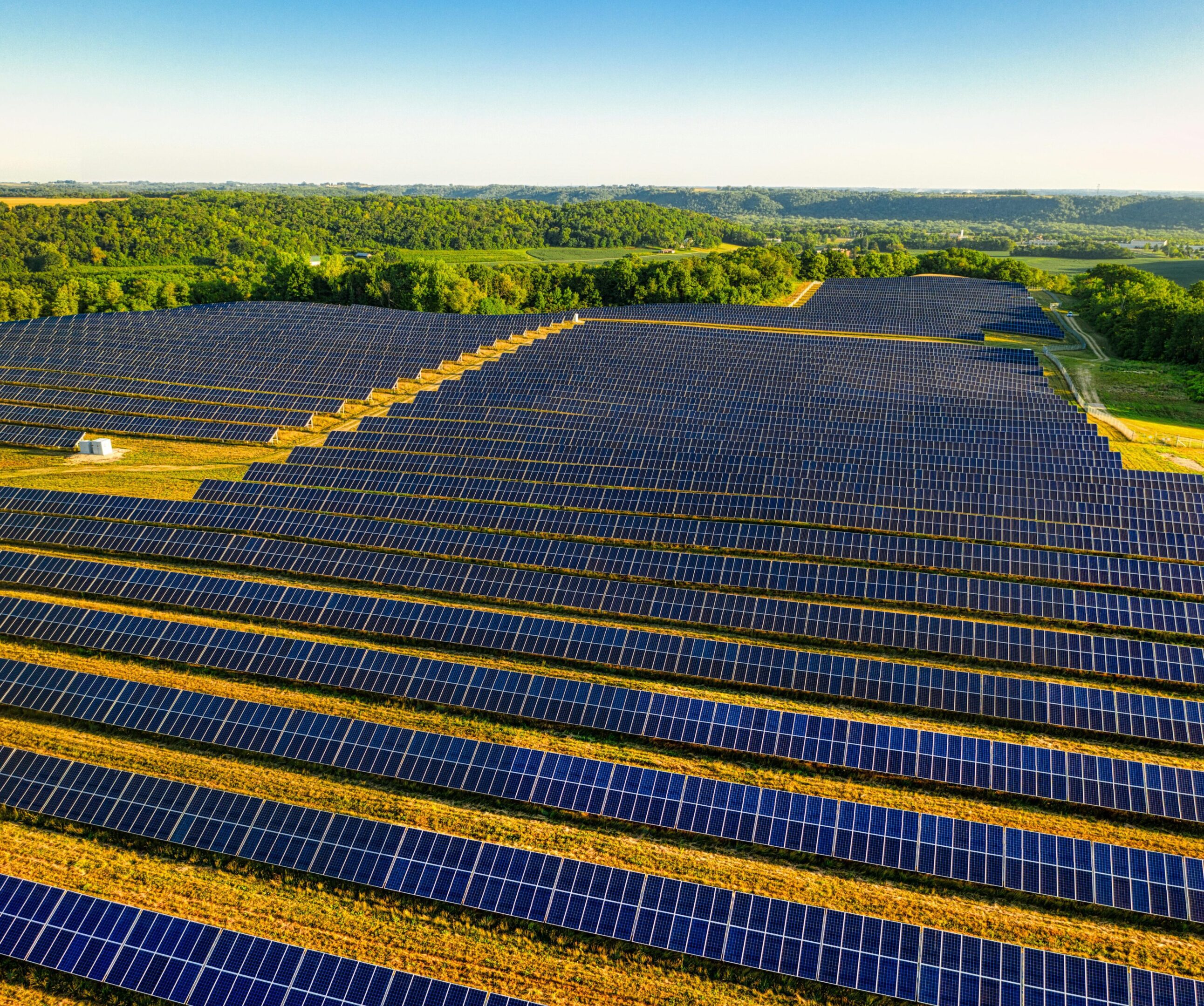 A large field of solar panels in the middle of a forest.